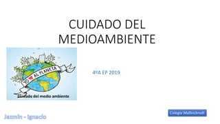 CUIDADO DEL
MEDIOAMBIENTE
4ºA EP 2019
Colegio Mallinckrodt
 