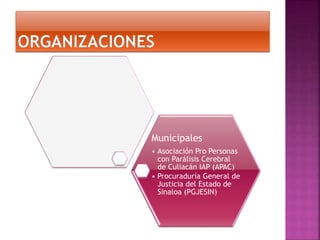 Municipales
• Asociación Pro Personas
con Parálisis Cerebral
de Culiacán IAP (APAC)
• Procuraduría General de
Justicia del Estado de
Sinaloa (PGJESIN)
 