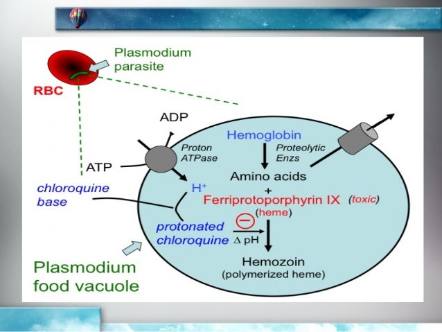 Chloroquine resistant bacteria dissertation
