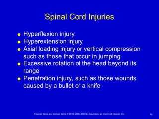 Sci Excessive Rotation Spinal Cord Injuries: Developmental alterations, disorders, et.c | PPT