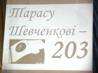 шевченкові 203