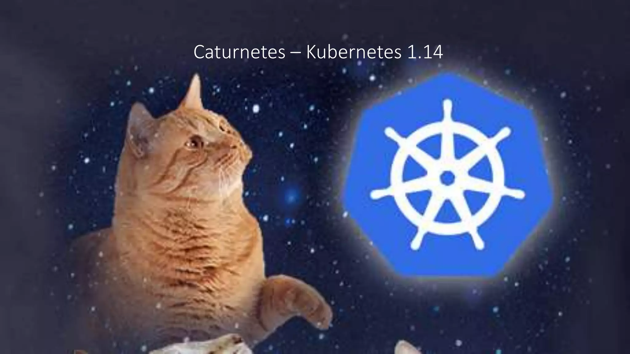 Caturnetes – Kubernetes 1.14
 