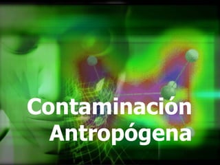 Contaminación Antropógena 