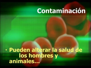 Contaminación Pueden alterar la salud de  los hombres y animales… 