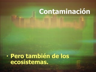 Contaminación Pero también de los ecosistemas.  