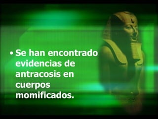 Se han encontrado evidencias de antracosis en cuerpos momificados.  