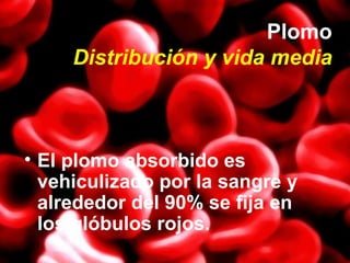 Plomo Distribución y vida media <ul><li>El plomo absorbido es vehiculizado por la sangre y alrededor del 90% se fija en lo...