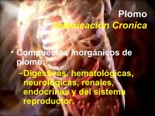 Plomo Intoxicación Cronica <ul><li>Compuestos inorgánicos de plomo: </li></ul><ul><ul><li>Digestivas, hematológicas, neuro...