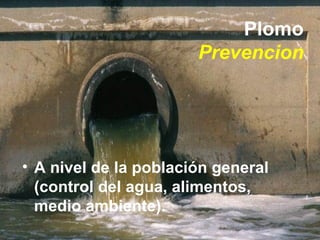 Plomo Prevencion <ul><li>A nivel de la población general (control del agua, alimentos, medio ambiente). </li></ul>