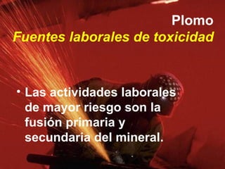 <ul><li>Las actividades laborales de mayor riesgo son la fusión primaria y secundaria del mineral. </li></ul>Plomo Fuentes...