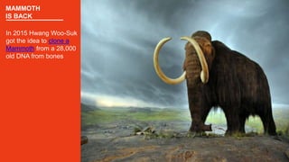 MAMMOTH
IS BACK
In 2015 Hwang Woo-Suk
got the idea to clone a
Mammoth from a 28,000
old DNA from bones
 