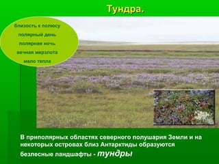 Тундра.
близость к полюсу
полярный день
полярная ночь
вечная мерзлота
мало тепла

В приполярных областях северного полушария Земли и на
некоторых островах близ Антарктиды образуются
безлесные ландшафты - тундры

 