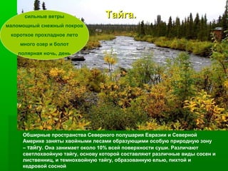 сильные ветры

Тайга.

маломощный снежный покров
короткое прохладное лето
много озер и болот
полярная ночь, день

Обширные пространства Северного полушария Евразии и Северной
Америке заняты хвойными лесами образующими особую природную зону
– тайгу. Она занимает около 10% всей поверхности суши. Различают
светлохвойную тайгу, основу которой составляют различные виды сосен и
лиственниц, и темнохвойную тайгу, образованную елью, пихтой и
кедровой сосной

 