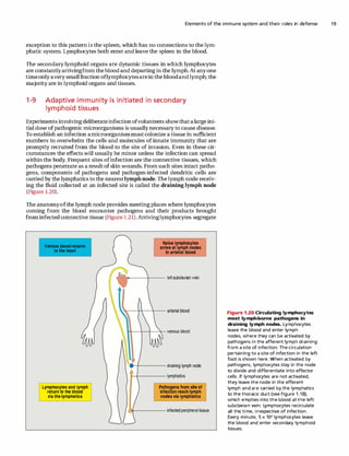 The Immune System 3rd Ed P Parham Charles Janeway | PDF