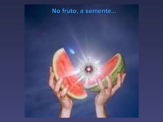 No fruto, a semente... 