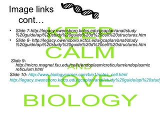 Image links
cont…
• Slide 7-http://legacy.owensboro.kctcs.edu/gcaplan/anat/study
%20guide/api%20study%20guide%20d%20cell%20structures.htm
• Slide 8- http://legacy.owensboro.kctcs.edu/gcaplan/anat/study
%20guide/api%20study%20guide%20d%20cell%20structures.htm
Slide 9-
http://micro.magnet.fsu.edu/cells/endoplasmicreticulum/endoplasmic
reticulum.html
Slide 10- http://www.biologycorner.com/bio1/notes_cell.html
http://legacy.owensboro.kctcs.edu/gcaplan/anat/study%20guide/api%20study
 