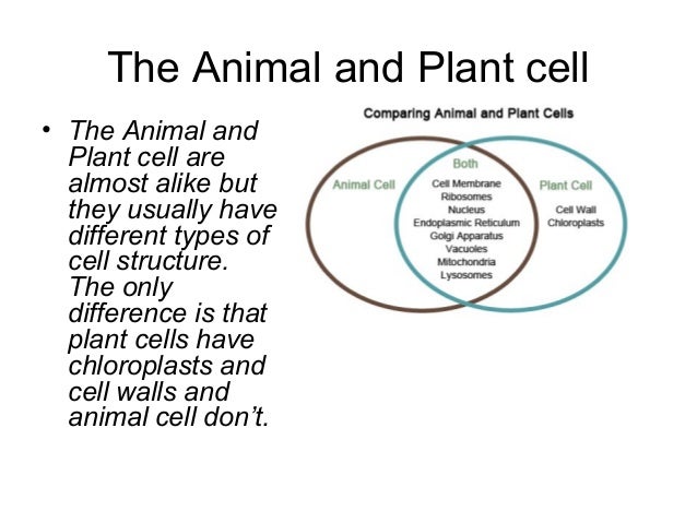 2 03 cell structure and function 2 03 cell structure and function