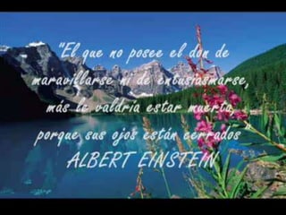 QUE ES LA HUELLA NEGATIVAHuellas negativas las figuras formadas por hundimiento o depresión ,sobre el soporte que recibe al objeto que las produce.Cuando   nosotros  no ocupamos de manera  racional las cosas como:El cuidado del aguaEl cuidado del suelo La preservación del medio ambiente.