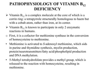 203 MEGALOBLASTIC_ANAEMIAS lecture slides.ppt