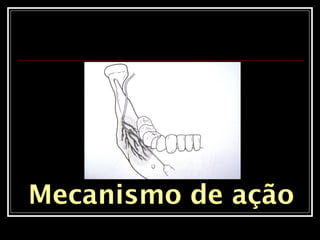 Mecanismo de ação
 