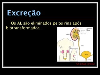 Excreção
Os AL são eliminados pelos rins após
biotransformados.
SÁ LIMA (1996)
 