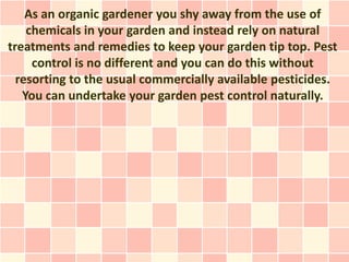 As an organic gardener you shy away from the use of
    chemicals in your garden and instead rely on natural
treatments and remedies to keep your garden tip top. Pest
     control is no different and you can do this without
  resorting to the usual commercially available pesticides.
   You can undertake your garden pest control naturally.
 