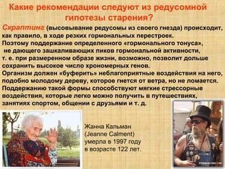 Какие рекомендации следуют из редусомной  гипотезы старения? Скраптинг   (высовывание редусомы из своего гнезда) происходит,  как правило, в ходе резких гормональных перестроек.  Поэтому поддержание определенного «гормонального тонуса», не дающего зашкаливающих пиков гормональной активности,  т. е. при размеренном образе жизни, возможно, позволит дольше  сохранить высокое число хрономерных генов.  Организм должен «буферить» неблагоприятные воздействия на него,  подобно молодому дереву, которое гнется от ветра, но не ломается. Поддержанию такой формы способствуют мягкие стрессорные  воздействия, которые легко можно получить в путешествиях,  занятиях спортом, общении с друзьями и т. д. Жанна Кальман  (Jeanne Calment)  умерла в 1997 году  в возрасте 122 лет.   