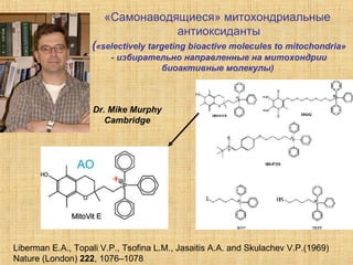 «Самонаводящиеся» митохондриальные  антиоксиданты ( « selectively targeting bioactive molecules to mitochondria » - избирательно направленные на митохондрии  биоактивные молекулы)   Dr. Mike Murphy Cambridge Liberman E.A., Topali V.P., Tsofina L.M., Jasaitis A.A. and Skulachev V.P.(1969)  Nature (London)  222 , 1076–1078  + АО 