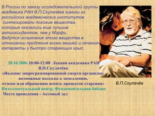 В России по заказу исследовательской группы  академика РАН В.П.Скулачёва химики из  российских академических институтов синтезировали похожие вещества,  которые оказались еще лучшим антиоксидантом, чем у Мэрфи.  Ведутся испытания этого вещества в отношении продления жизни мышей и лечения катаракты у быстро стареющих крыс.  В.П.Скулачёв 28.10.2006  10:00-12:00  Лекция академика РАН В.П.Скулачёва  «Явление запрограммированной смерти организма:  возможные подходы к замедлению,  отмене или обращению вспять процессов старения»  Интеллектуальный центр, Фундаментальная библиотека МГУ   Место проведения - Актовый зал 
