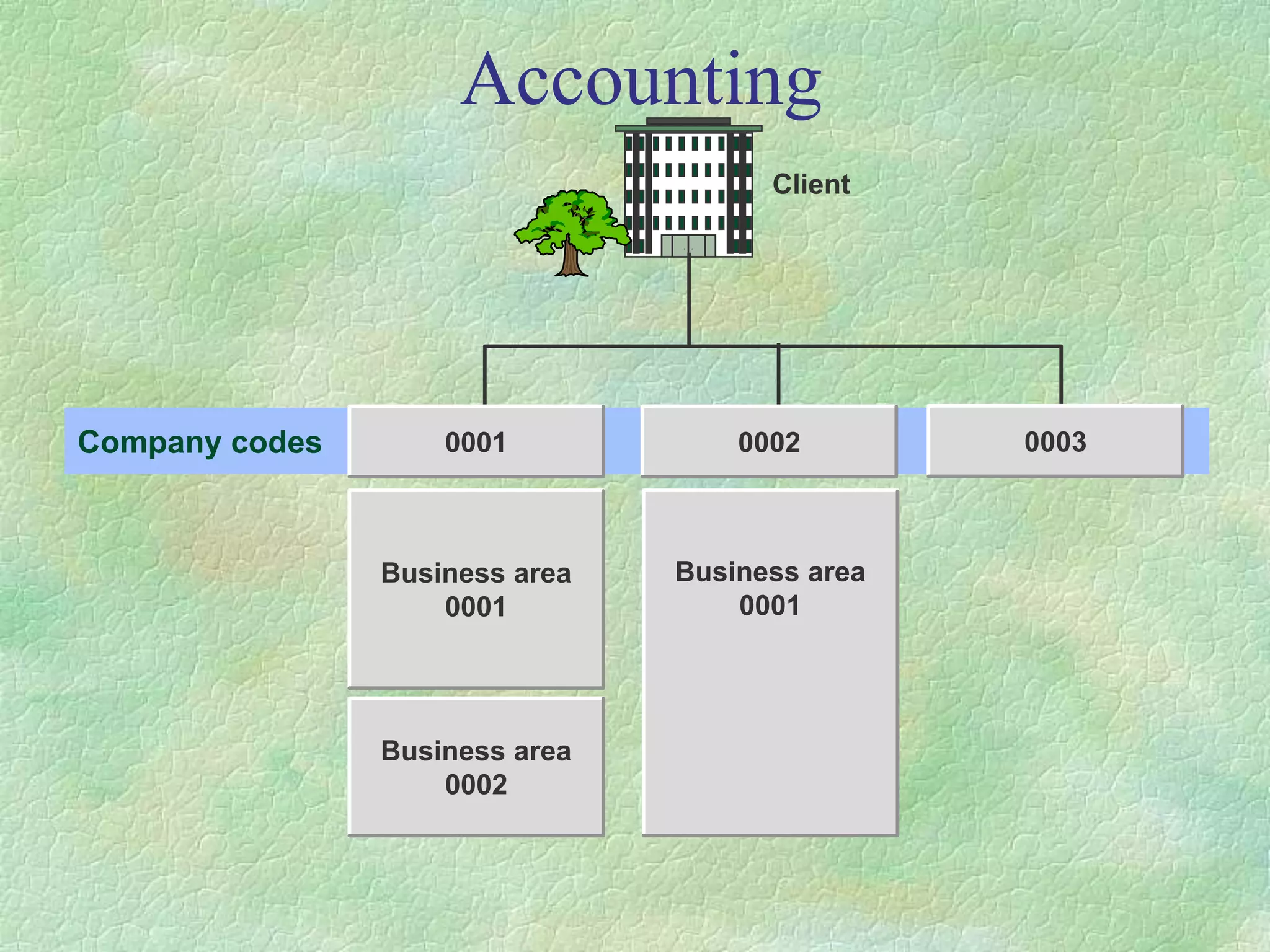 Accounting
Client
Company codes 0001 0002 0003
Business area
0001
Business area
0002
Business area
0001
 