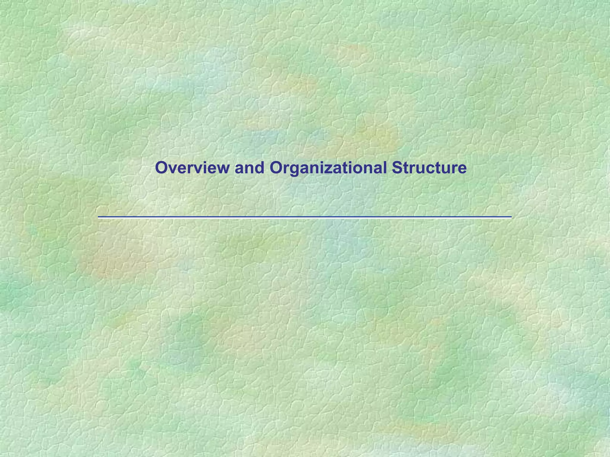 Overview and Organizational Structure
 