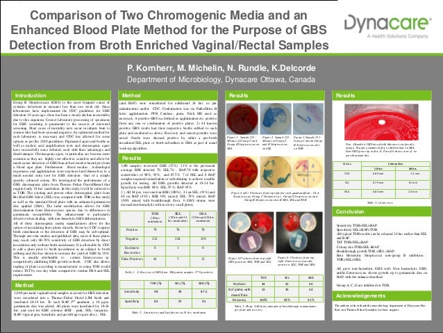 undergraduate research project microbiology