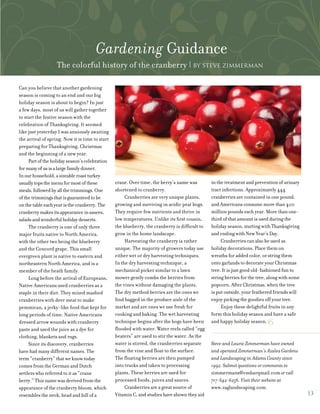 Can you believe that another gardening
season is coming to an end and our big
holiday season is about to begin? In just
a few days, most of us will gather together
to start the festive season with the
celebration of Thanksgiving. It seemed
like just yesterday I was anxiously awaiting
the arrival of spring. Now it is time to start
preparing for Thanksgiving, Christmas
and the beginning of a new year.
Partoftheholidayseason’scelebration
formanyofusisalargefamilydinner.
Inourhousehold,asizeableroastturkey
usuallytopsthemenuformostofthese
meals,followedbyallthetrimmings.One
ofthetrimmingsthatisguaranteedtobe
onthetableeachyearisthecranberry.The
cranberrymakesitsappearanceinsauces,
saladsandwonderfulholidaydesserts.
The cranberry is one of only three
major fruits native to North America,
with the other two being the blueberry
and the Concord grape. This small
evergreen plant is native to eastern and
northeastern North America, and is a
member of the heath family.
Long before the arrival of Europeans,
Native Americans used cranberries as a
staple in their diet. They mixed mashed
cranberries with deer meat to make
pemmican, a jerky-like food that kept for
long periods of time. Native Americans
dressed arrow wounds with cranberry
paste and used the juice as a dye for
clothing, blankets and rugs.
Since its discovery, cranberries
have had many different names. The
term “cranberry” that we know today
comes from the German and Dutch
settlers who referred to it as “crane
berry.” This name was derived from the
appearance of the cranberry bloom, which
resembles the neck, head and bill of a
crane. Over time, the berry’s name was
shortened to cranberry.
Cranberries are very unique plants,
growing and surviving in acidic peat bogs.
They require few nutrients and thrive in
low temperatures. Unlike its first cousin,
the blueberry, the cranberry is difficult to
grow in the home landscape.
Harvesting the cranberry is rather
unique. The majority of growers today use
either wet or dry harvesting techniques.
In the dry harvesting technique, a
mechanical picker similar to a lawn
mower gently combs the berries from
the vines without damaging the plants.
The dry method berries are the ones we
find bagged in the produce aisle of the
market and are ones we use fresh for
cooking and baking. The wet harvesting
technique begins after the bogs have been
flooded with water. Water reels called “egg
beaters” are used to stir the water. As the
water is stirred, the cranberries separate
from the vine and float to the surface.
The floating berries are then pumped
into trucks and taken to processing
plants. These berries are used for
processed foods, juices and sauces.
Cranberries are a great source of
Vitamin C, and studies have shown they aid
in the treatment and prevention of urinary
tract infections. Approximately 444
cranberries are contained in one pound,
and Americans consume more than 400
million pounds each year. More than one-
third of that amount is used during the
holiday season, starting with Thanksgiving
and ending with New Year’s Day.
Cranberries can also be used as
holiday decorations. Place them on
wreaths for added color, or string them
onto garlands to decorate your Christmas
tree. It is just good old-fashioned fun to
string berries for the tree, along with some
popcorn. After Christmas, when the tree
is put outside, your feathered friends will
enjoy picking the goodies off your tree.
Enjoy these delightful fruits in any
form this holiday season and have a safe
and happy holiday season.
Steve and Laurie Zimmerman have owned
and operated Zimmerman’s Azalea Gardens
and Landscaping in Adams County since
1992. Submit questions or comments to
zimmermans@embarqmail.com or call
717-642-6256. Visit their website at
www.zaglandscaping.com.
Gardening Guidance
The colorful history of the cranberry | By Steve Zimmerman
13
 