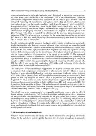 Aneuploidy In Health And Disease Zuzana Storchova | PDF