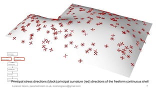 Lorenzo Greco, parametricism.co.uk, lorenzogreco@gmail.com 7
Principal stress directions (black) principal curvature (red) directions of the freeform continuous shell
 