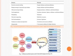 Fig :-Industrial applications of Enzymes produced by Solid- State Fermentation Processes
 