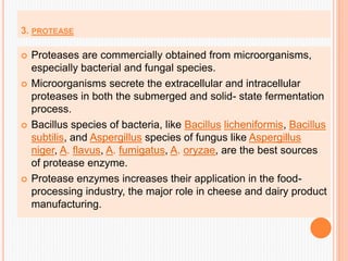 3. PROTEASE
 Proteases are commercially obtained from microorganisms,
especially bacterial and fungal species.
 Microorganisms secrete the extracellular and intracellular
proteases in both the submerged and solid- state fermentation
process.
 Bacillus species of bacteria, like Bacillus licheniformis, Bacillus
subtilis, and Aspergillus species of fungus like Aspergillus
niger, A. flavus, A. fumigatus, A. oryzae, are the best sources
of protease enzyme.
 Protease enzymes increases their application in the food-
processing industry, the major role in cheese and dairy product
manufacturing.
 