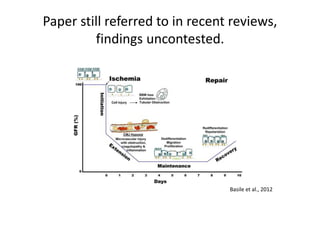 Paper still referred to in recent reviews,
findings uncontested.
Basile et al., 2012
 