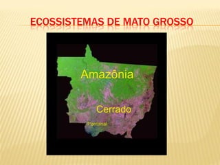 ECOSSISTEMAS DE MATO GROSSO
 