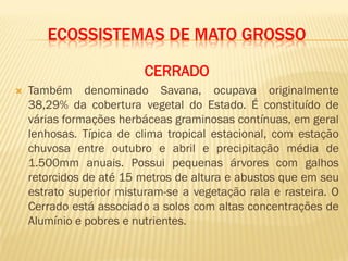 ECOSSISTEMAS DE MATO GROSSO
CERRADO
 Também denominado Savana, ocupava originalmente
38,29% da cobertura vegetal do Estado. É constituído de
várias formações herbáceas graminosas contínuas, em geral
lenhosas. Típica de clima tropical estacional, com estação
chuvosa entre outubro e abril e precipitação média de
1.500mm anuais. Possui pequenas árvores com galhos
retorcidos de até 15 metros de altura e abustos que em seu
estrato superior misturam-se a vegetação rala e rasteira. O
Cerrado está associado a solos com altas concentrações de
Alumínio e pobres e nutrientes.
 