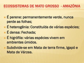 ECOSSISTEMAS DE MATO GROSSO - AMAZÔNIA
 É perene: permanentemente verde, nunca
perde as folhas;
 É heterogênia: Constituída de várias espécies;
 É densa: Fechada;
 É higrófila: várias espécies vivem em
ambientes úmidos.
 Subdivide-se em Mata de terra firme, Igapó e
Mata de Várzea.
 