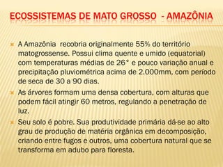 ECOSSISTEMAS DE MATO GROSSO - AMAZÔNIA
 A Amazônia recobria originalmente 55% do território
matogrossense. Possui clima quente e umido (equatorial)
com temperaturas médias de 26° e pouco variação anual e
precipitação pluviométrica acima de 2.000mm, com período
de seca de 30 a 90 dias.
 As árvores formam uma densa cobertura, com alturas que
podem fácil atingir 60 metros, regulando a penetração de
luz.
 Seu solo é pobre. Sua produtividade primária dá-se ao alto
grau de produção de matéria orgânica em decomposição,
criando entre fugos e outros, uma cobertura natural que se
transforma em adubo para floresta.
 