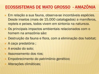 ECOSSISTEMAS DE MATO GROSSO - AMAZÔNIA
 Em relação a sua fauna, observa-se incontáveis espécies.
Desde insetos (mais de 15.000 catalogados) a mamíferos,
repteis e peixes, todos vivem em sintonia na natureza.
 Os principais impactos ambientais relacionados com o
homem na amazônia são:
 Destruição da fauna e flora, com a eliminação dos habitat;
 A caça predatória ;
 A erosão do solo;
 Assoreamento dos rios;
 Empobrecimento do patrimônio genético;
 Alterações climáticas;
 