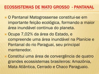 ECOSSISTEMAS DE MATO GROSSO - PANTANAL
 O Pantanal Matogrossense constitui-se em
importante feição ecológica, formando a maior
área inundável continua do planeta.
 Ocupa 7,02% da área do Estado, e
compreende uma área inundável na Planície e
Pantanal do rio Paraguai, seu principal
mantenedor.
 Constitui uma área de convergência de quatro
grandes ecossistemas brasileiros: Amazônia,
Mata Atlântica, Cerrado e Chaco Paraguaio.
 