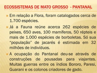 ECOSSISTEMAS DE MATO GROSSO - PANTANAL
 Em relação a Flora, foram catalogados cerca de
1.700 espécies.
 Já a Fauna reúne acerca 262 espécies de
peixes, 650 aves, 100 mamíferos, 50 répteis e
mais de 1.000 espécies de borboletas. Só sua
“população” de jacarés é estimada em 32
milhões de indivíduos.
 A ocupação do Pantanal deu-se através de
construções de pousadas para viajantes.
Muitas guerras entre os índios Bororo, Paresi,
Guarani e os colonos criadores de gado.
 