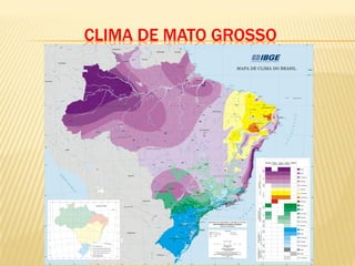 CLIMA DE MATO GROSSO
 