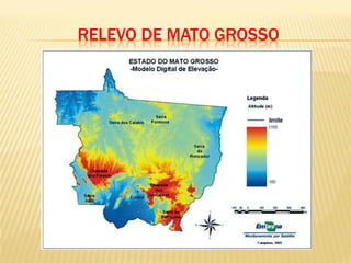 RELEVO DE MATO GROSSO
 