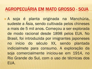 AGROPECUÁRIA EM MATO GROSSO - SOJA
 A soja é planta originada na Manchúria,
sudeste a Ásia, sendo cultivada pelos chineses
a mais de 5 mil anos. Começou a ser explorada
de modo racional desde 1898 pelos EUA. No
Brasil, foi introduzida por imigrantes japoneses
no início do século XX, sendo plantada
indicialmete para consumo. A exploração da
soja comercialmente iniciou-se em 1914, no
Rio Grande do Sul, com o uso de técnicas dos
EUA.
 