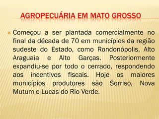 AGROPECUÁRIA EM MATO GROSSO
 Começou a ser plantada comercialmente no
final da década de 70 em municípios da região
sudeste do Estado, como Rondonópolis, Alto
Araguaia e Alto Garças. Posteriormente
expandiu-se por todo o cerrado, respondendo
aos incentivos fiscais. Hoje os maiores
municípios produtores são Sorriso, Nova
Mutum e Lucas do Rio Verde.
 