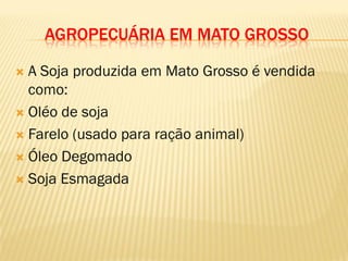 AGROPECUÁRIA EM MATO GROSSO
 A Soja produzida em Mato Grosso é vendida
como:
 Oléo de soja
 Farelo (usado para ração animal)
 Óleo Degomado
 Soja Esmagada
 